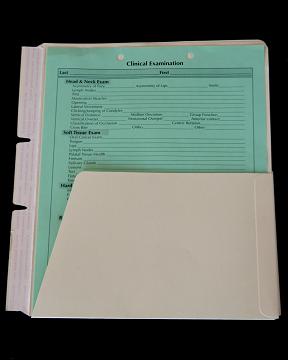 Chart Divider, Pocket Divider, Manila Divider, Self Adhesive Div