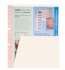 Chart Divider, Pocket Divider, Manila Divider, Self Adhesive Div